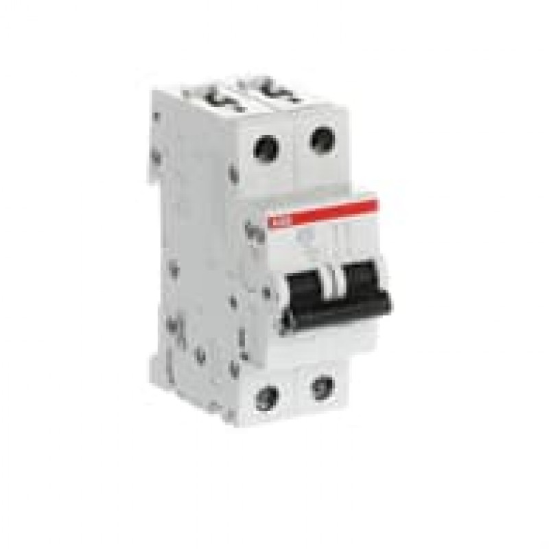 20A MCB 6kA DP Type B