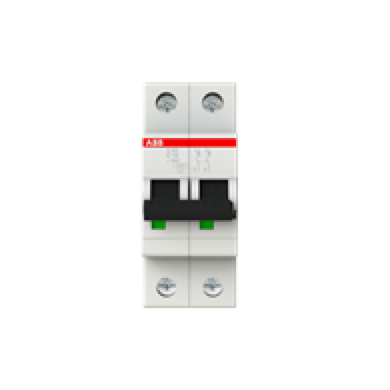 10A MCB 6kA DP Type C