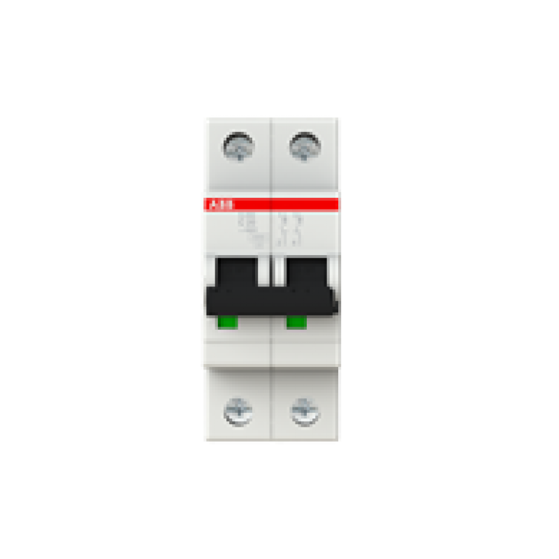 20A MCB 6kA DP Type C
