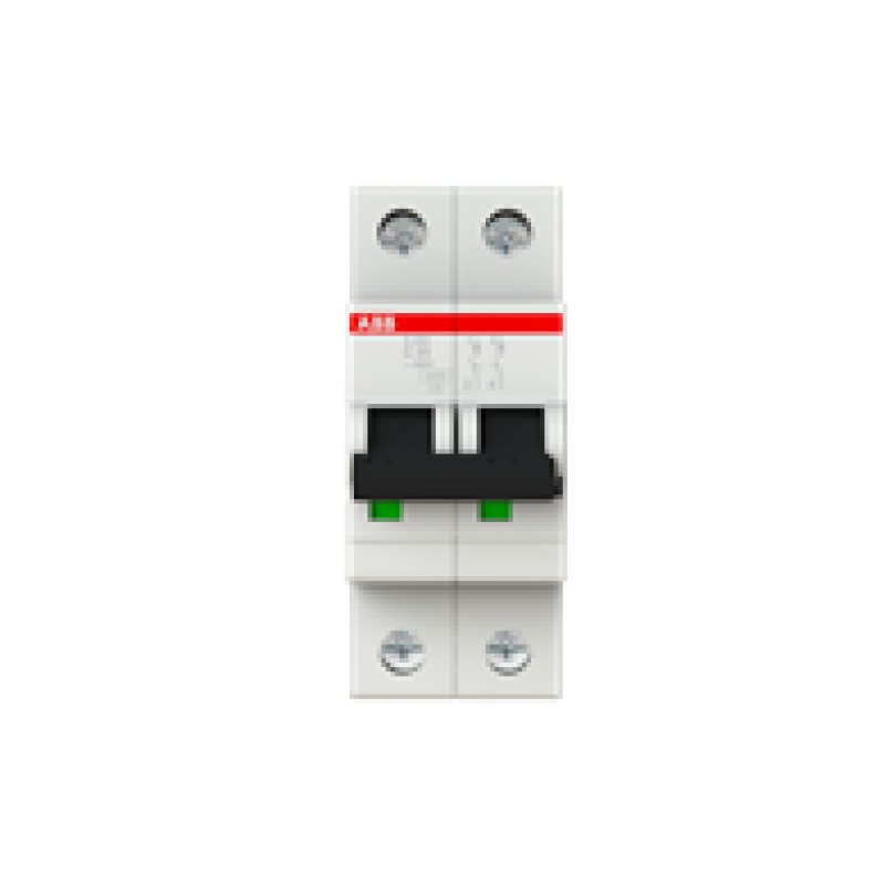 25A MCB 6kA DP Type C