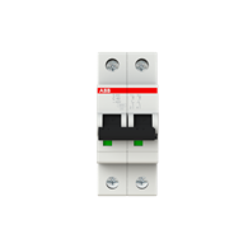 40A MCB 6kA DP Type C